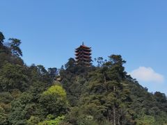 -缙云山景区