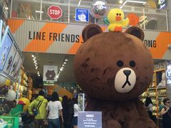 -line friends(明洞旗舰店)