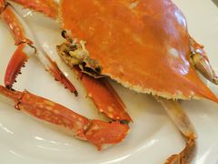 清真珍梭子蟹-开海·红岛海鲜虾水饺(石老人店)