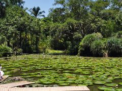 -中国科学院西双版纳热带植物园