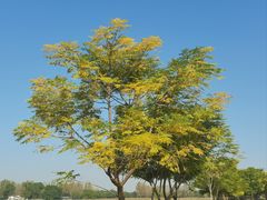 -汉长安城未央宫国家考古遗址公园