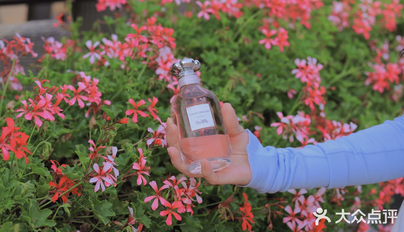 奔赴远方 寻觅自己——Coach梦想之旅