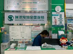 -瑞派动物医院·猫专科·至诚(江南中分院)