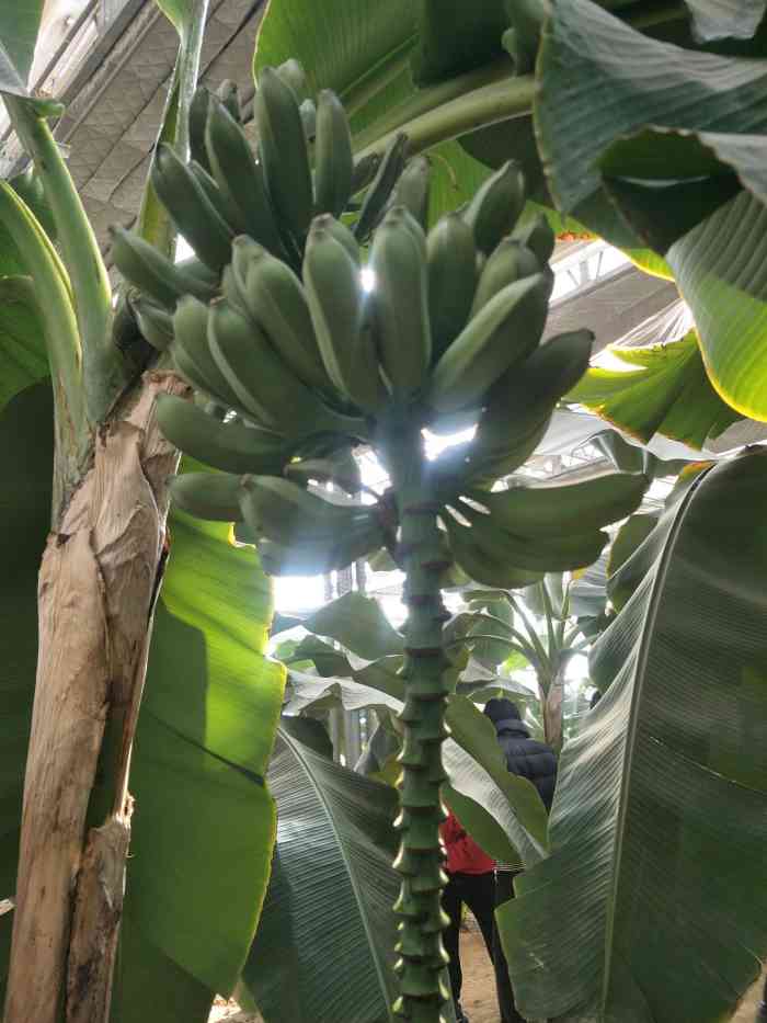 辽阳汤泉谷生态园-"刚入冬的家乡因为没有雪,室外还没有什么好.