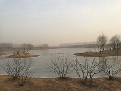 -东郊湿地公园