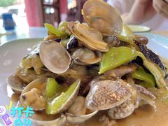 茄子炖蚬子-大清花饺子(五五路店)
