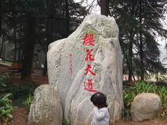 -武汉大学-樱园