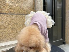 -星巴克(苏州张家港中昊檀宫店)