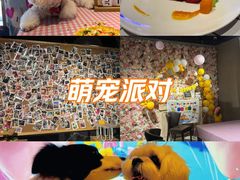 -百好乐宠物友好餐厅(朝外大街店)