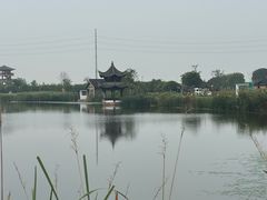 -杭州湾海上花田景区
