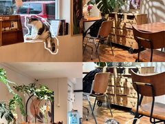 -echoes coffee回响咖啡(888街店)