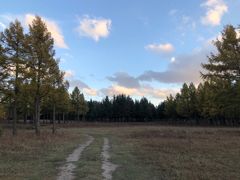 -塞罕坝国家级自然保护区