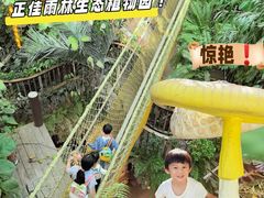 -正佳雨林生态植物园