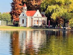 -上海共青森林公园