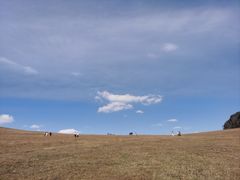 -克什克腾世界地质公园青山景区