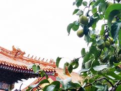 -故宫博物院(故宫)