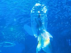 -海合安成都极地海洋公园