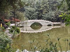 -铁山坪森林公园