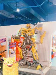 -爱丽丝奇幻乐园