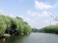 -溱湖国家湿地公园