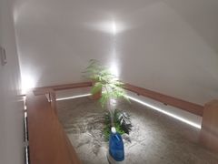 -光作面包Voila Lumiere(中山店)