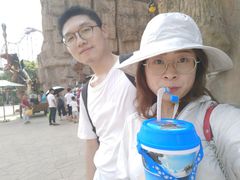 -中华恐龙园