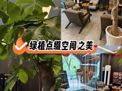 -鹿栖.精油SPA(金山世纪城店)