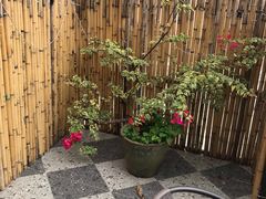 -花苑里咖啡(威远店)