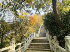 -阅江楼风景区