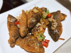 -大雄九老菜馆(南门桥店)