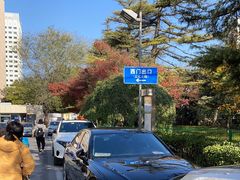 -北京大学人民医院-地上停车场