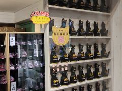 -猫咪博物馆(顶澳仔猫街店)