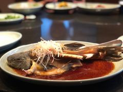 雪山鱼-丽江金茂凯悦臻选酒店-滇香馆