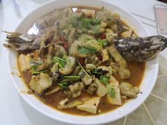 -煲来饱去冷水鱼