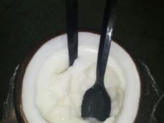 -志龙皇冠吃货椰子铺