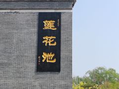 -莲花池公园