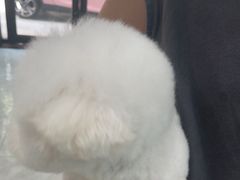 -安安宠医宠物医院·异宠·犬猫内科(岳阳分院)