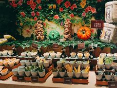 -雍和会海鲜姿造自助(湖东路店)