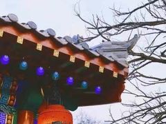 -暖泉古镇