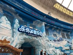 -海合安成都极地海洋公园