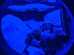 -迪拜水族馆及水下动物园