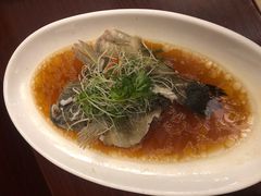 -骏莱海鲜鱼港(五角场店)