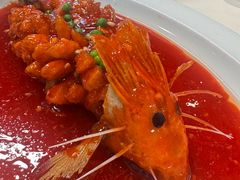 -丁老爷子苏香圆