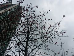 -凯美豪盛酒店阳光西餐厅