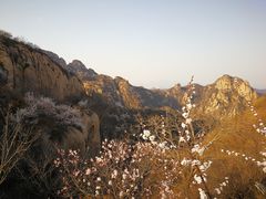 -大岭沟猕猴桃谷风景区