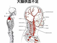 -星动力健身俱乐部(新塘店)