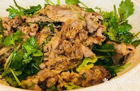Cilantro Beef Salad