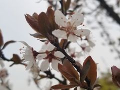 -嘉兴戴梦得购物中心