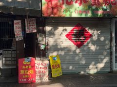-孙奶奶葱包桧