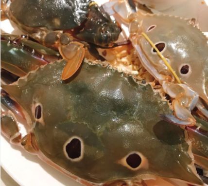 福州海鲜自助餐竞争太激烈啦,诱惑还是挺不错的